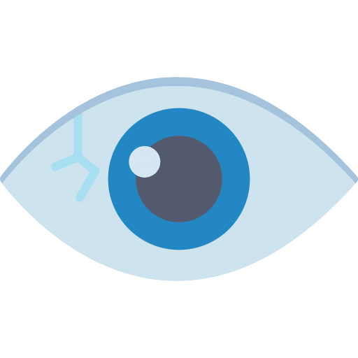 Our Vision